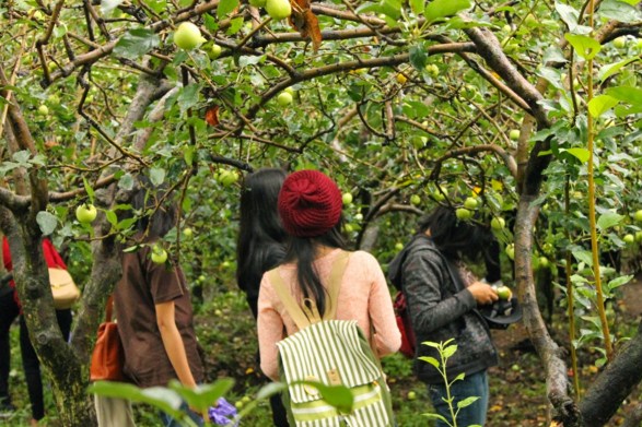 Satwa kebun coban rondo