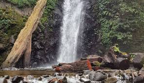 Hasil gambar untuk Air Terjun Rayap jember
